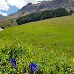 Wandspitz Appartement